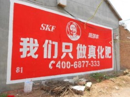宜章刷墙广告”蕴含了时代命题