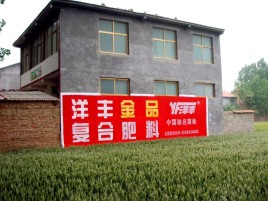 宜章如何让墙体广告展现最大化效果