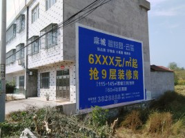 宜章墙体广告质量分析