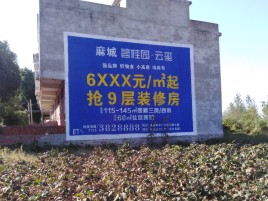 宜章品牌公司青睐的墙体广告